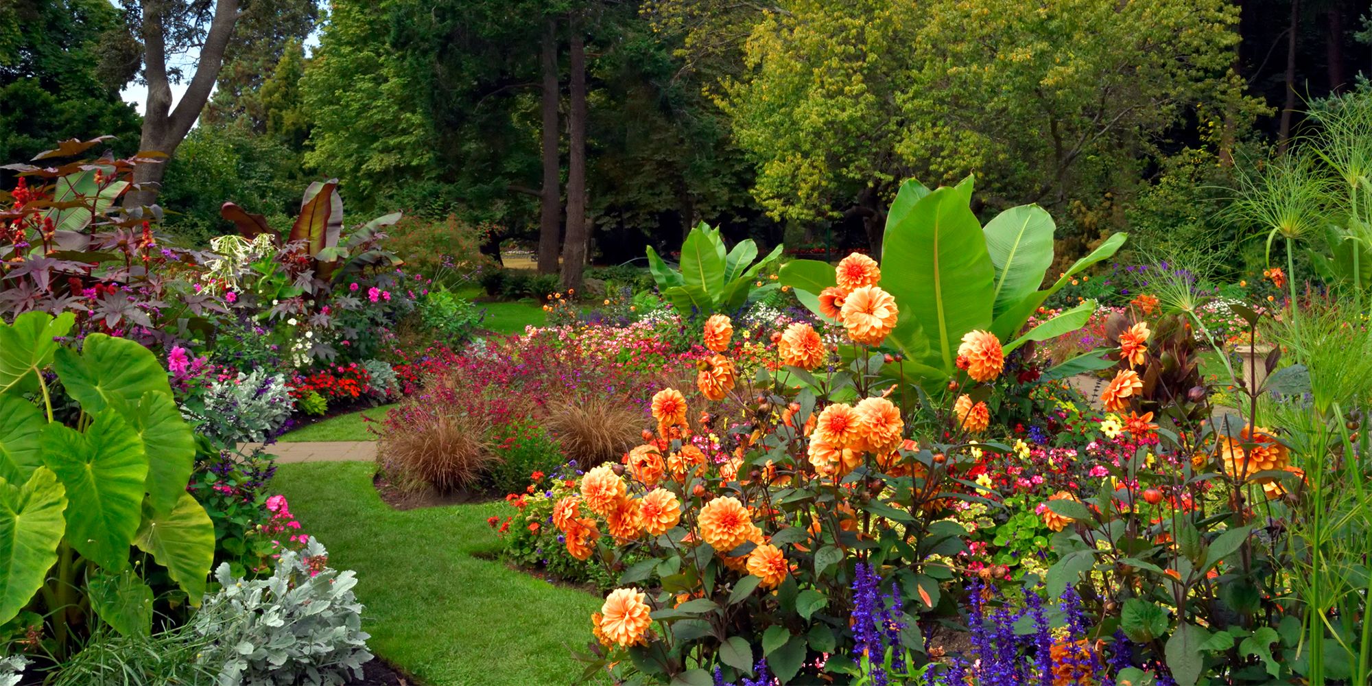 herb gardening in containers