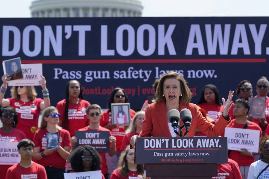 Washington DC Gun Rally
