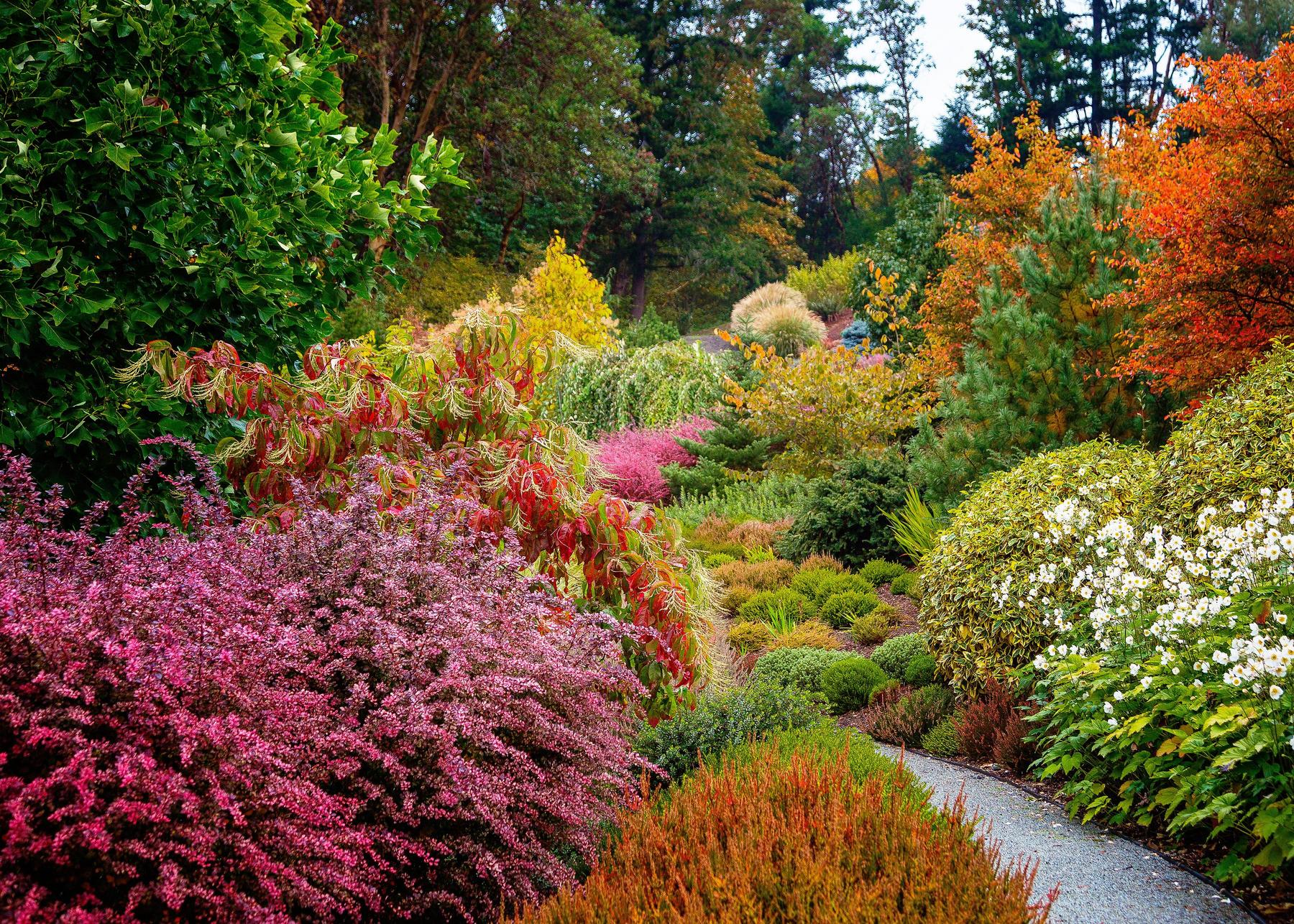 Mediterranean Herbs and Greek Plants
