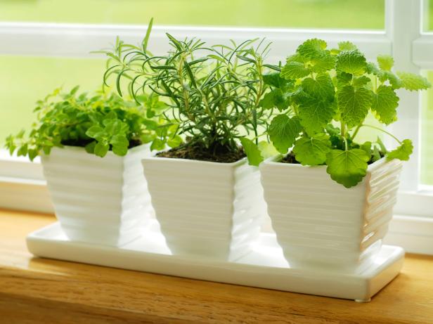 containers for herb gardening