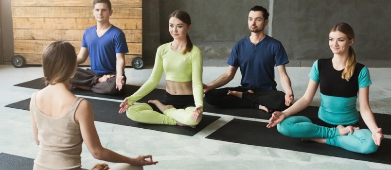 What is Yoga Asana?
