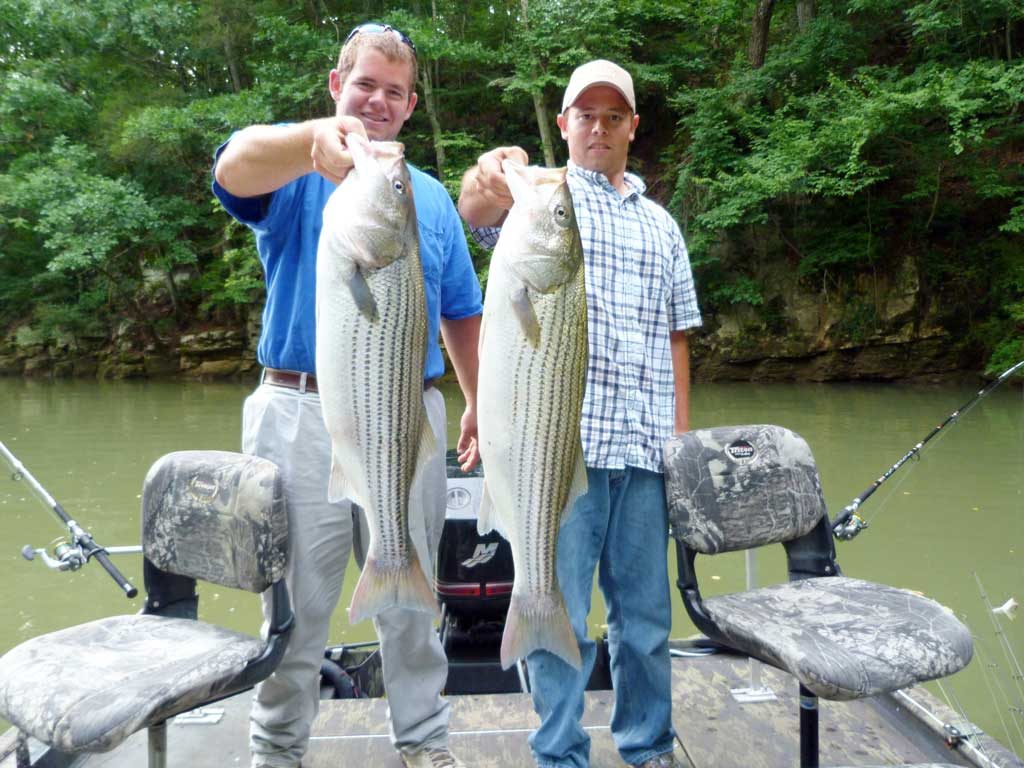 Collegiate Bass fishing
