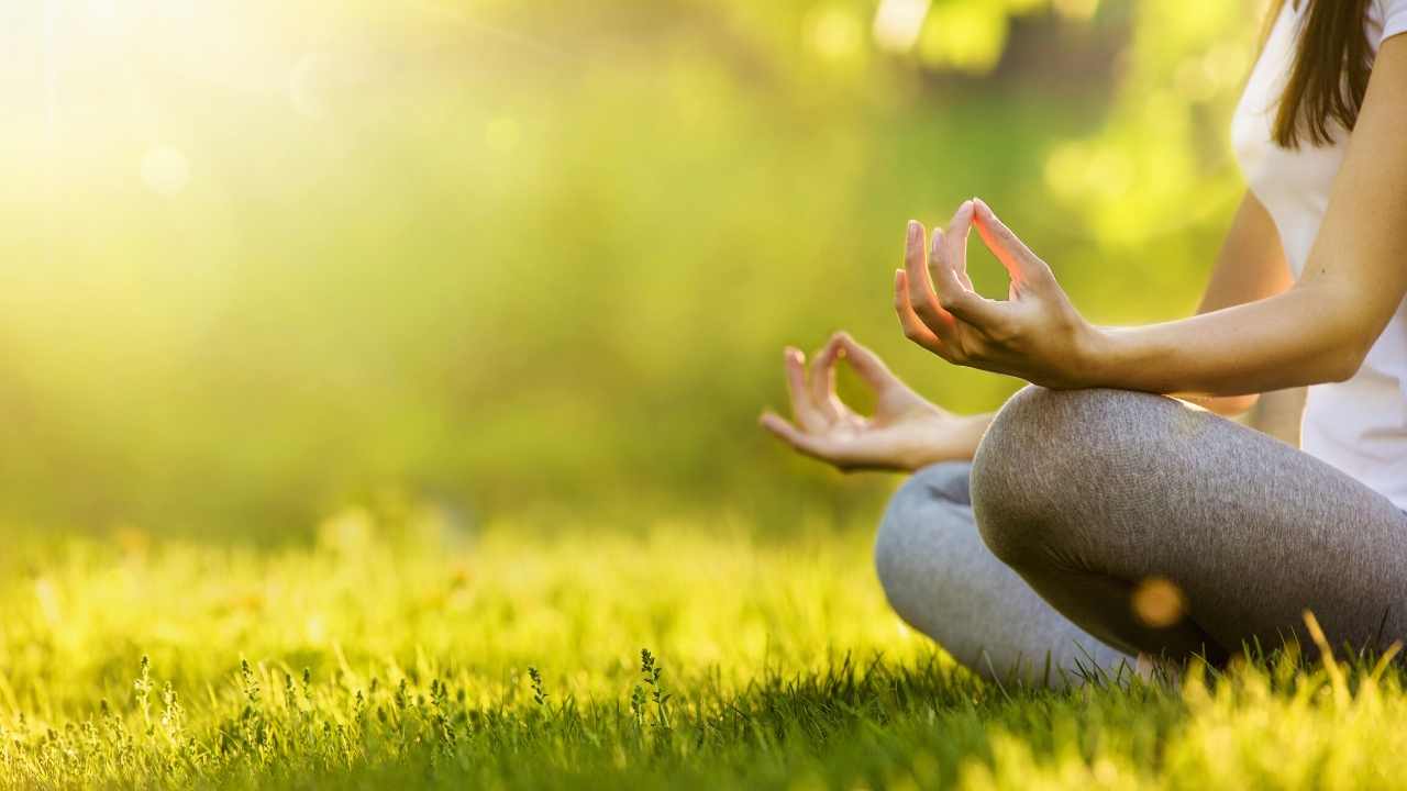 Iyengar Yoga Description
