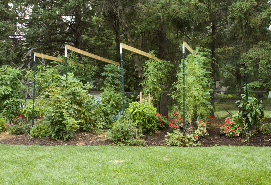 vegetable gardening ideas for backyard