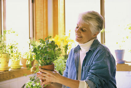 What is indoor gardening?
