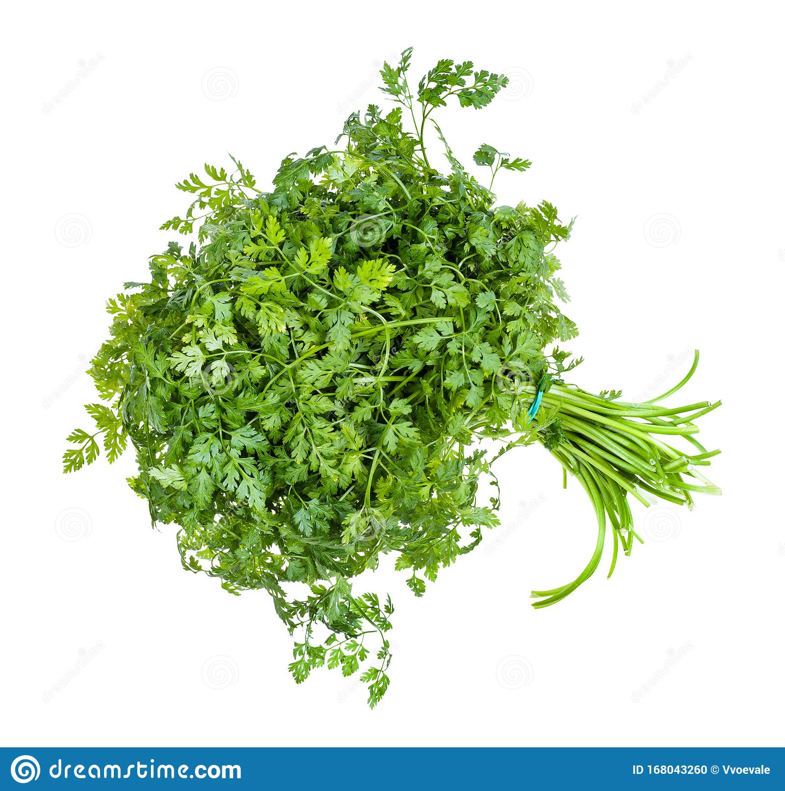 kitchen herb gardening