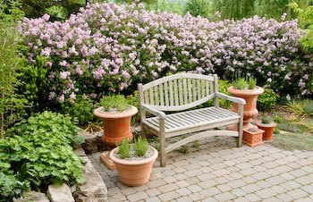 Perennial Garden Planner
