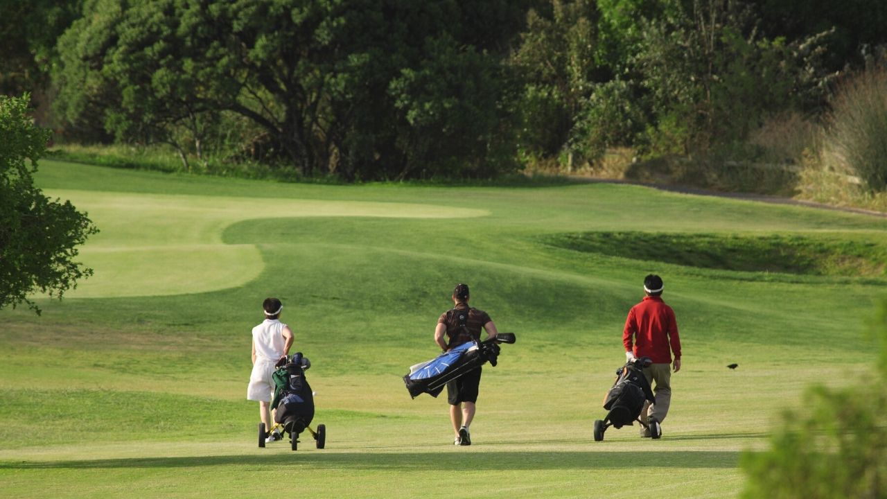 golf club drivers