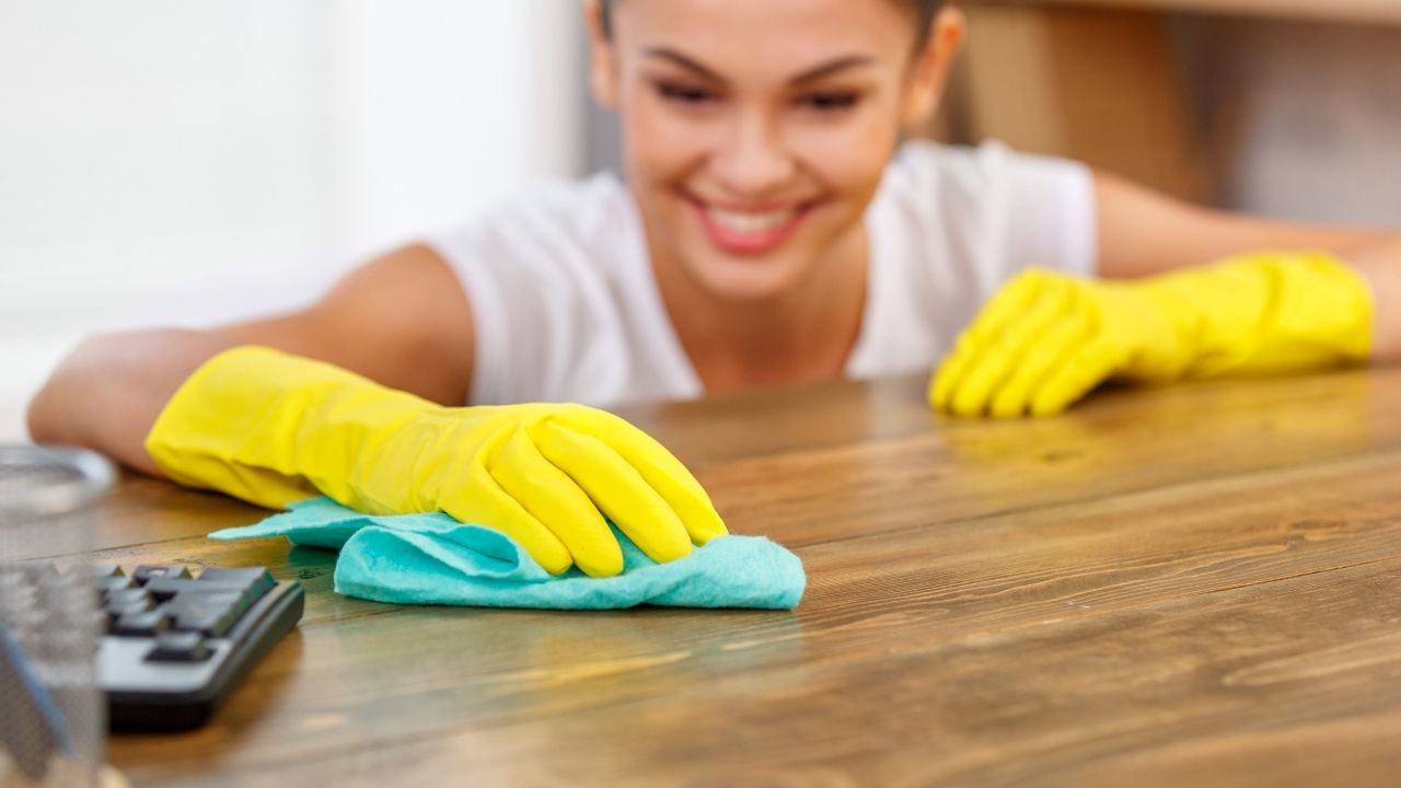professional cleaning of house