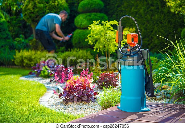 garden growing