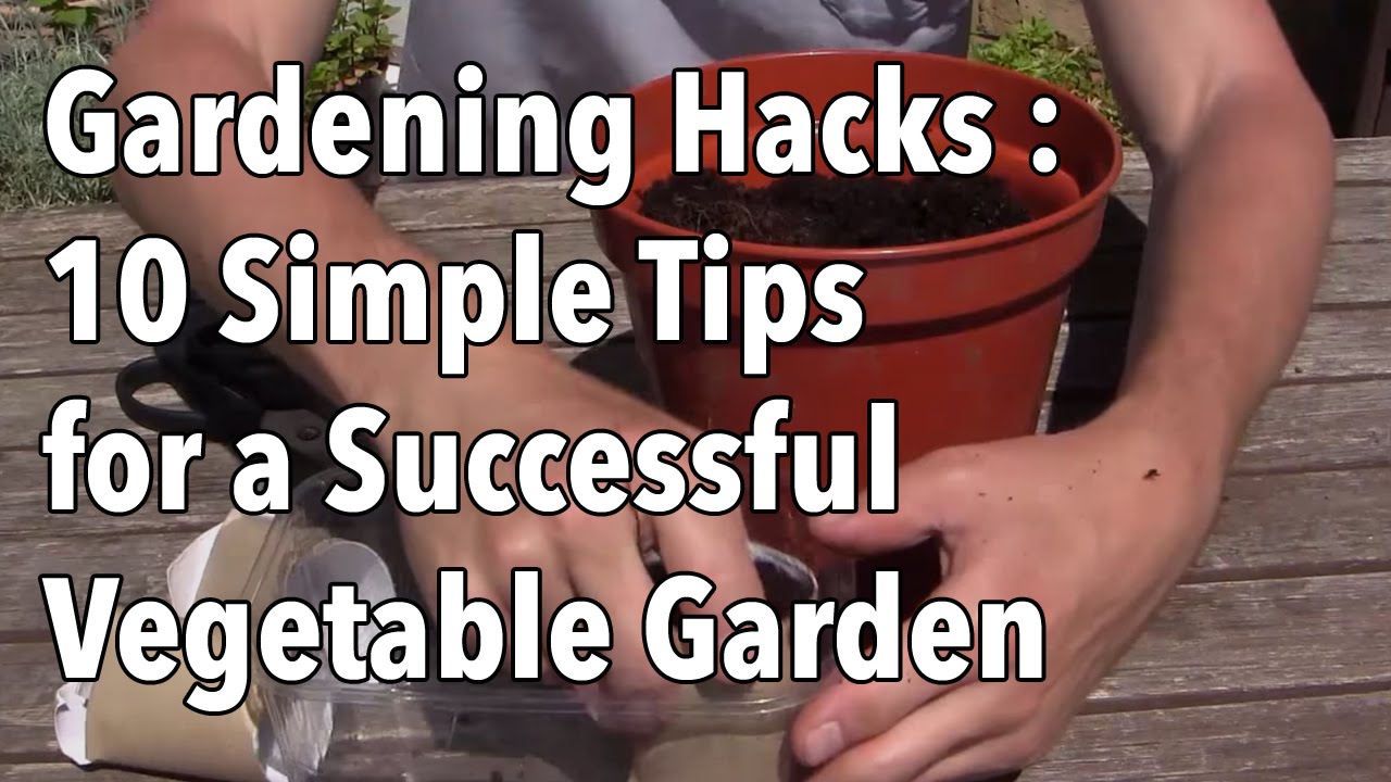 top gardening tips