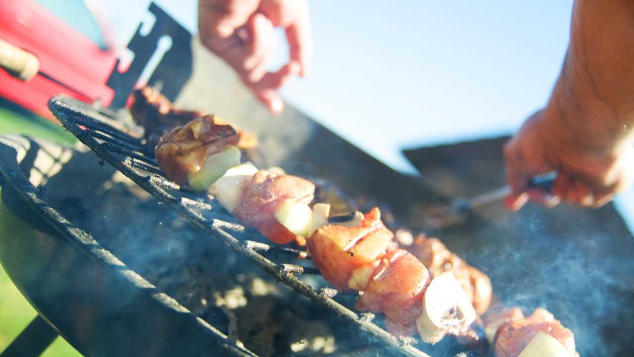 Healthy Barbecue Recipes - How To Grill Healthy
