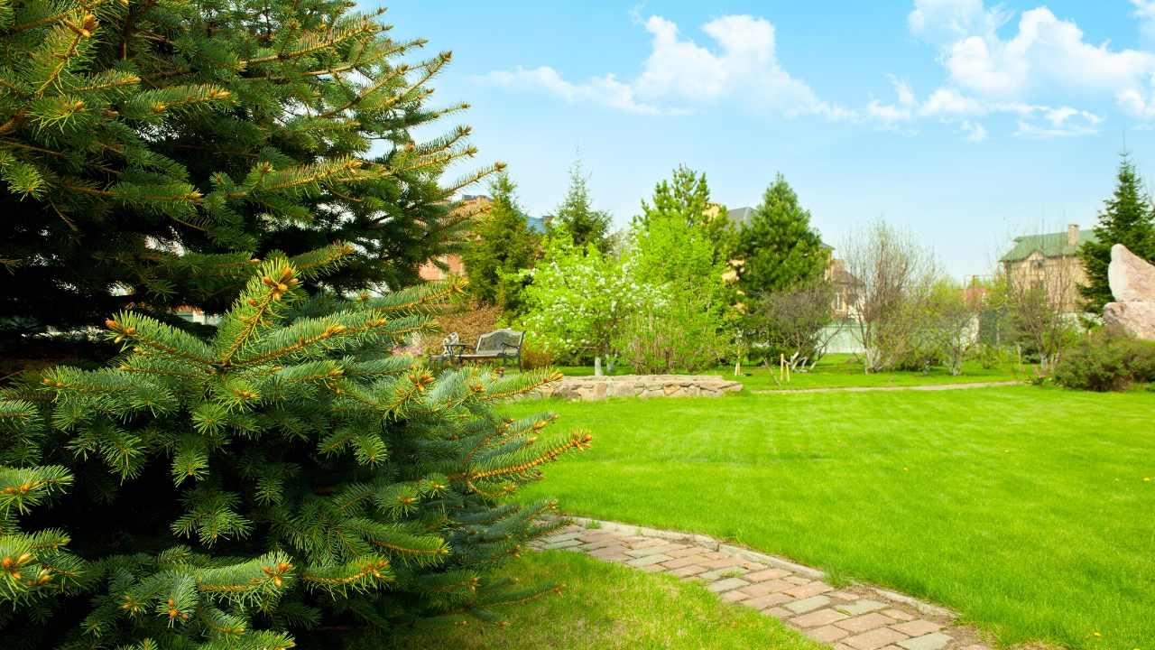 gardening ideas for backyards in texas