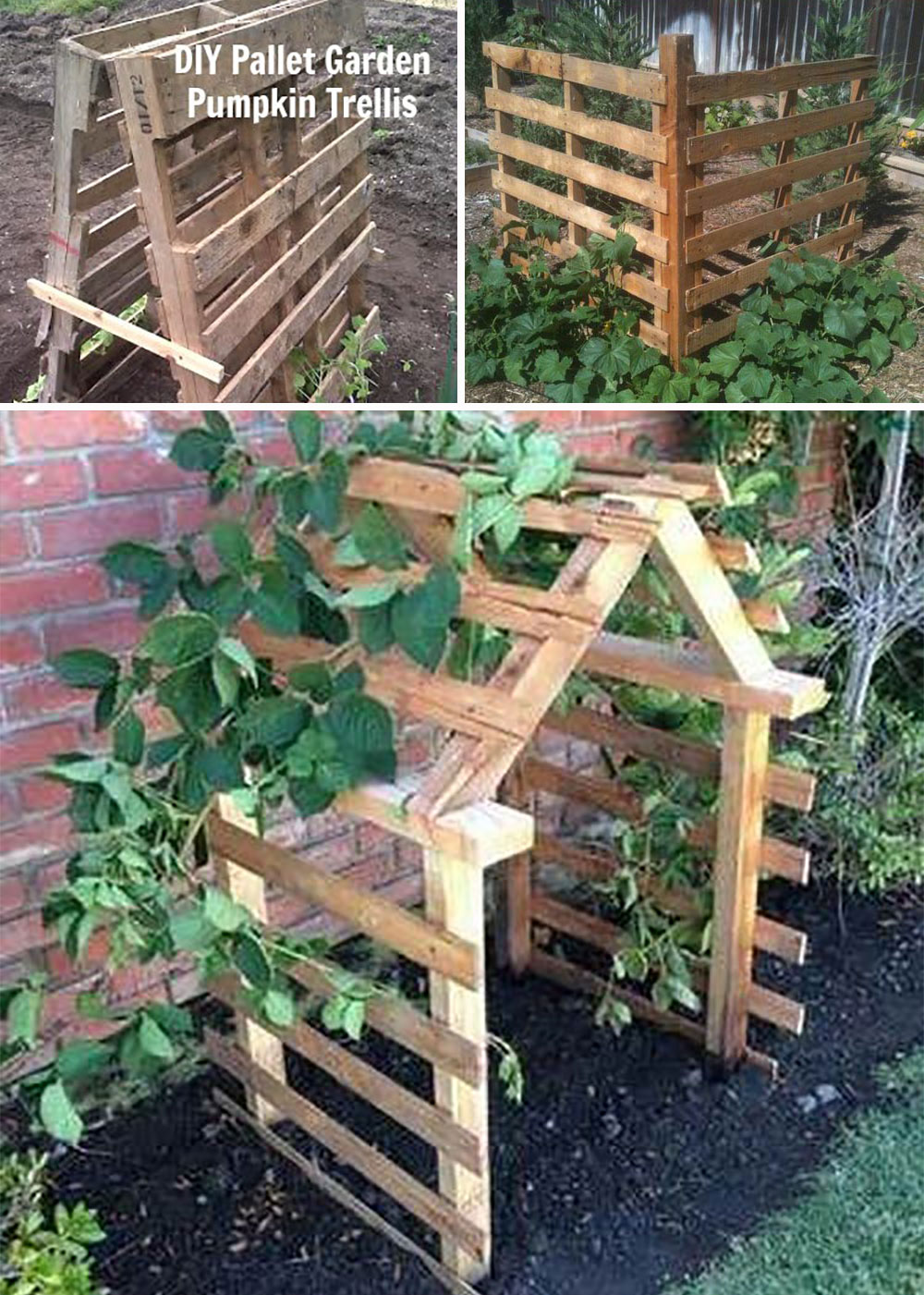 cheap gardening ideas for diy