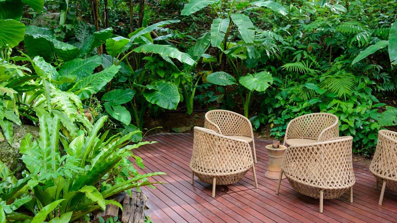 gardening ideas for backyard patio