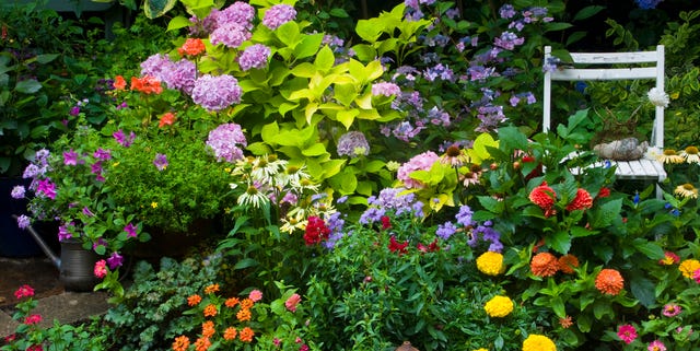 Garden Plans For Full Sun Perennial Garden Plans
