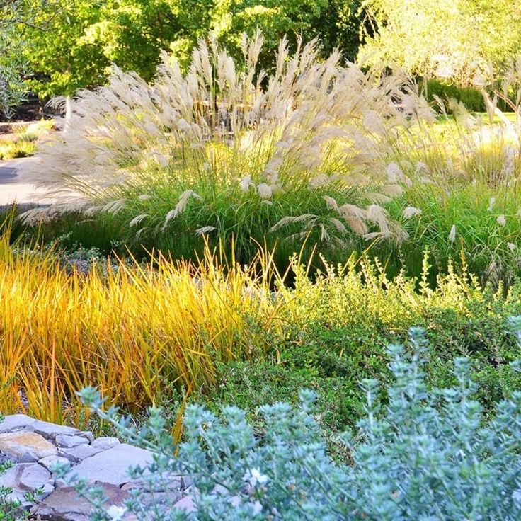 Michigan Vegetable Garden Layout. When is it best to plant vegetables in Michigan?
