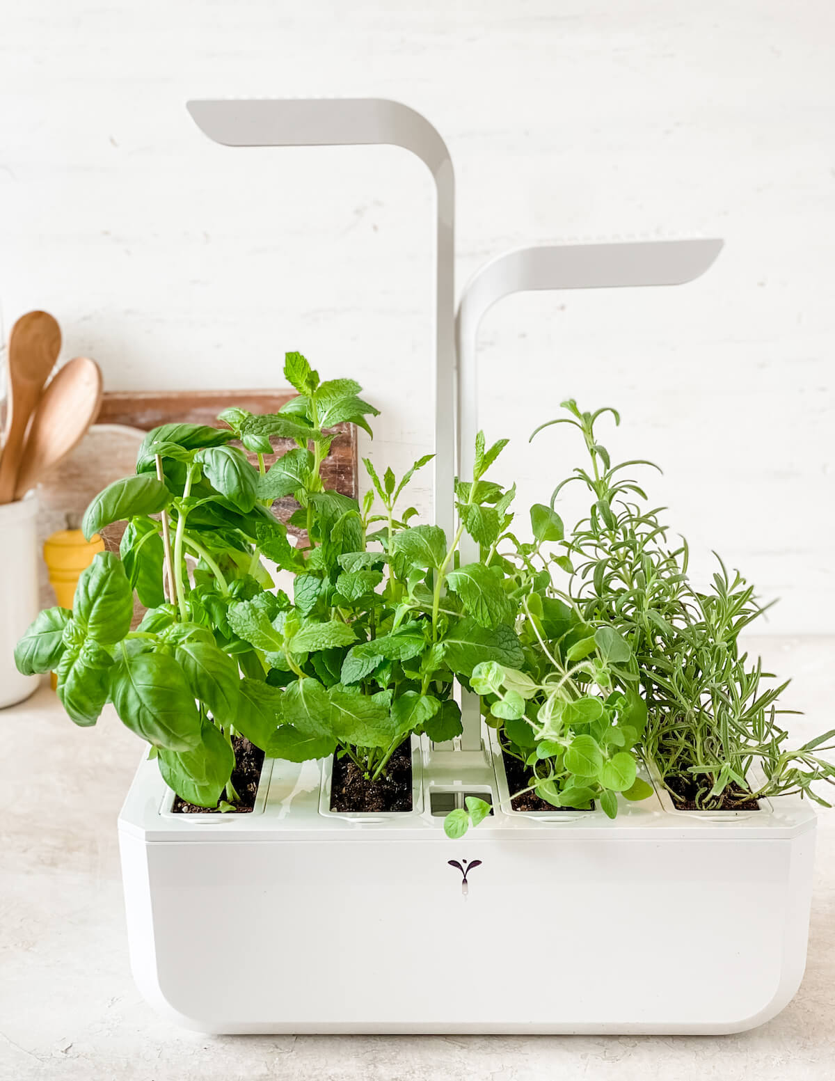 Hydroponic gardening: How it works
