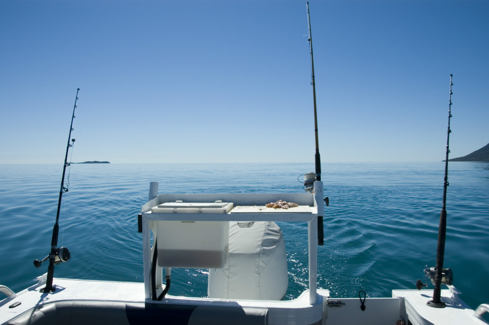 fishing license ontario