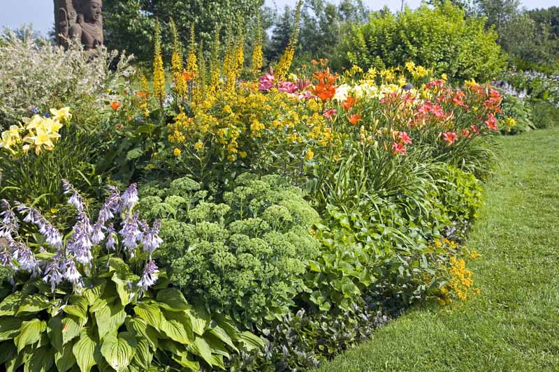 gardening ideas for backyard