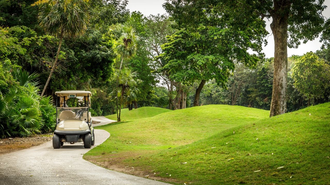 cart golf bags