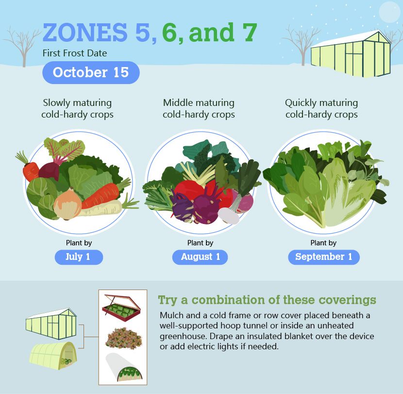 vegetable gardening guide uf