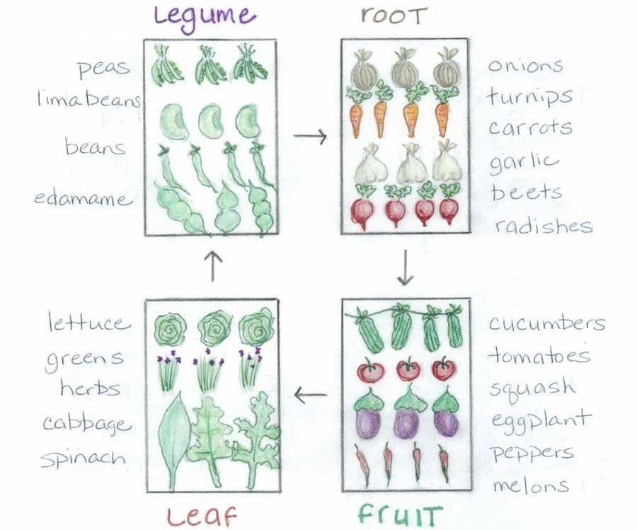vegetable gardening for beginners pdf