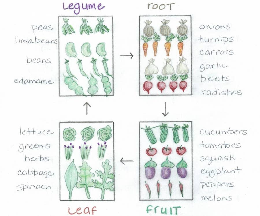 Spiral Herb Garden Plans: How to Build a Spiral Herb Garden
