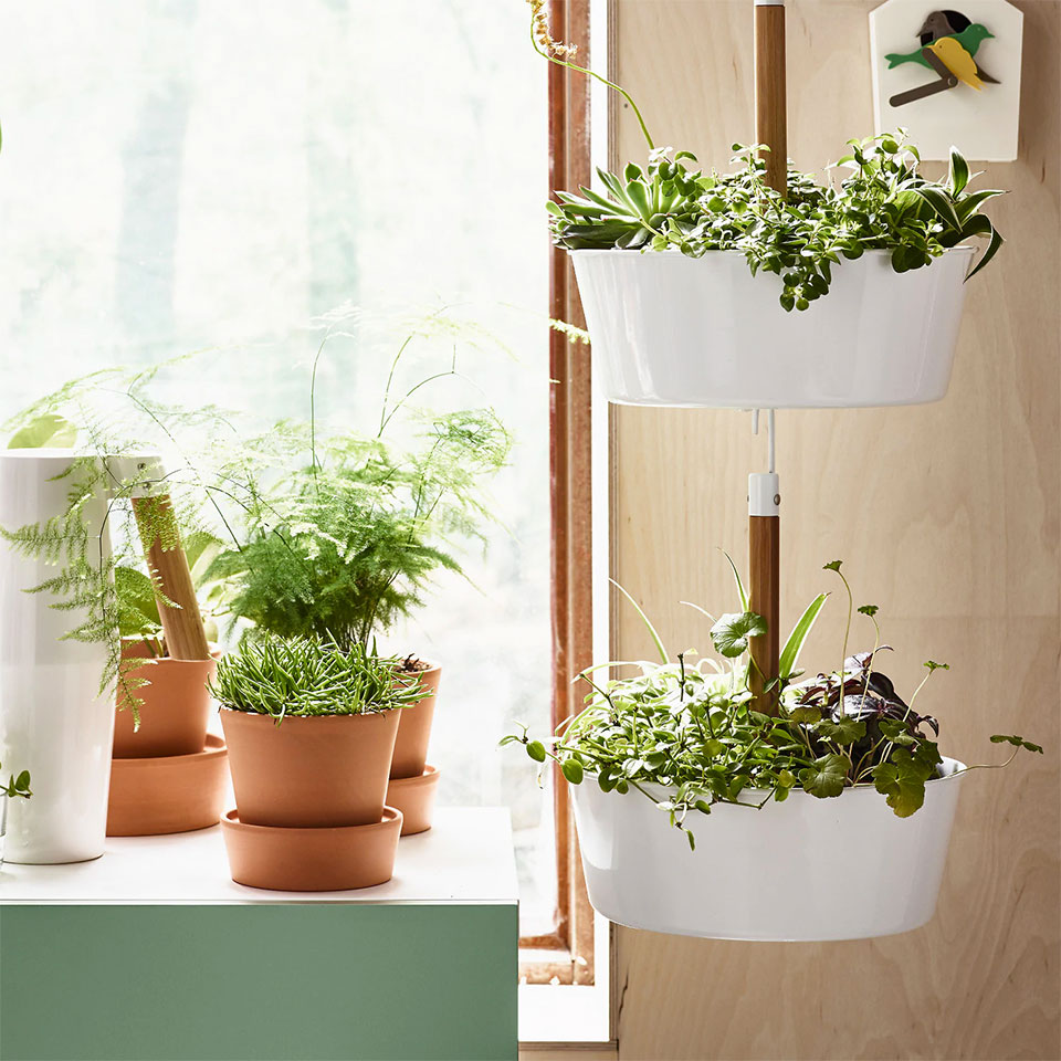 herb gardening kit