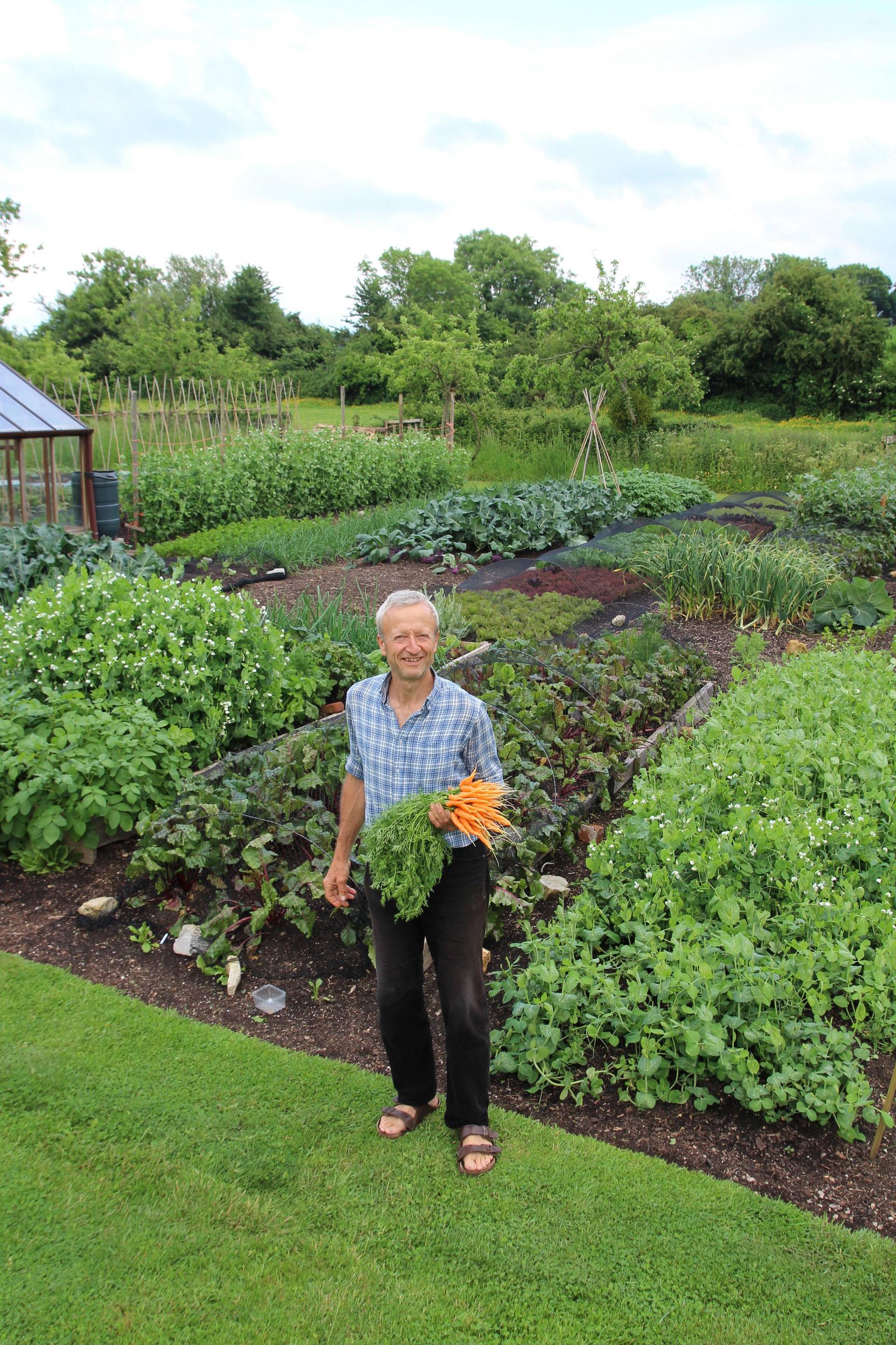 vegetable gardening tips and tricks