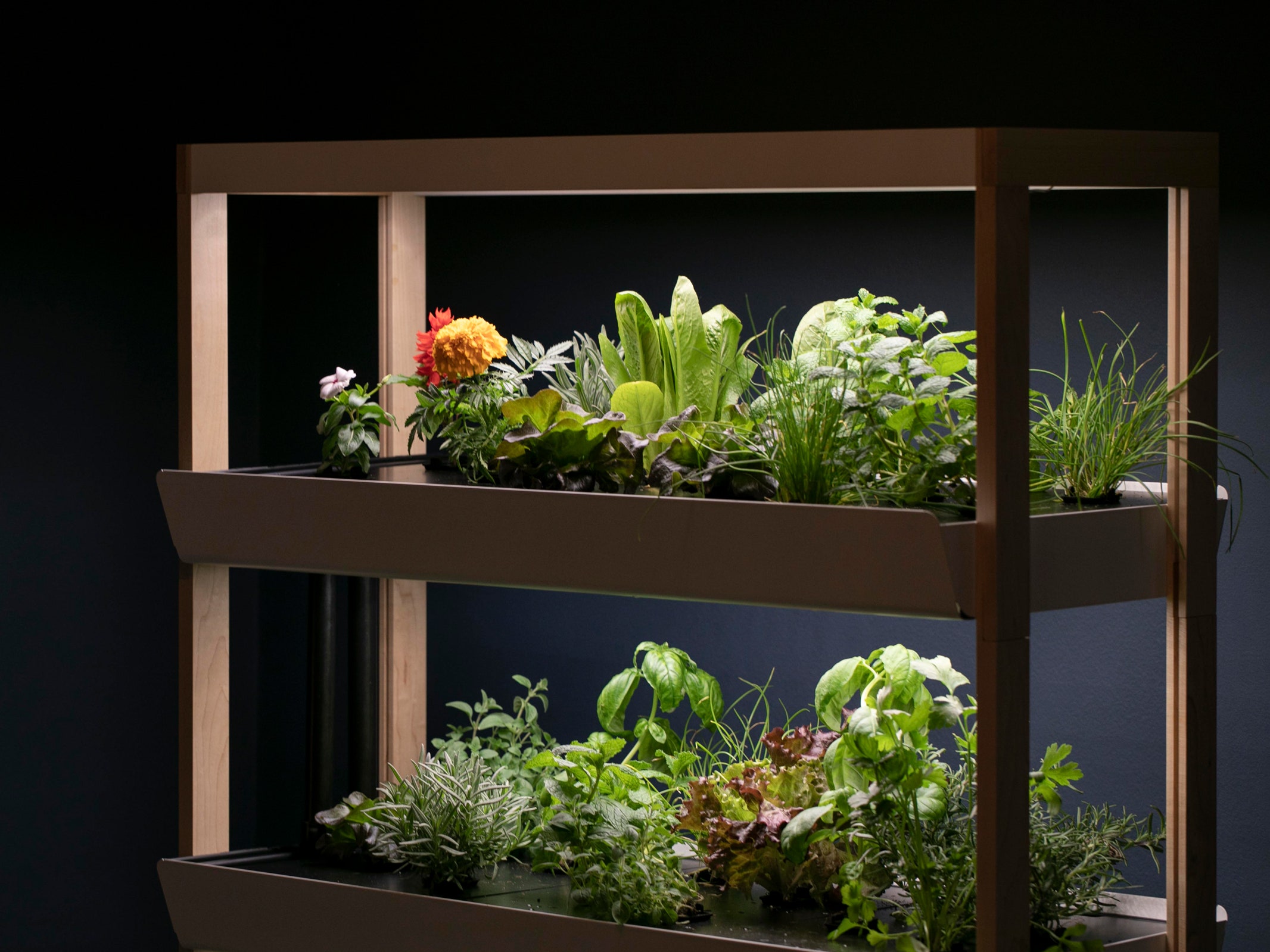 How Do Indoor Gardens Work?
