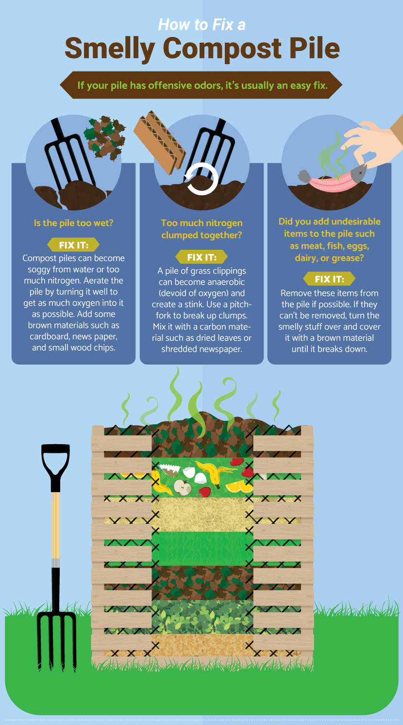 top gardening tips