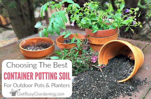 garden planting tips