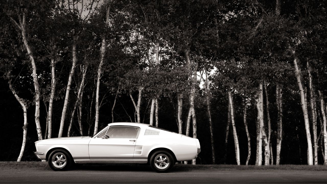 The Lincoln Continental Old Model Model Was Deceased in 1993. But It Was Recalled for the 1980s
