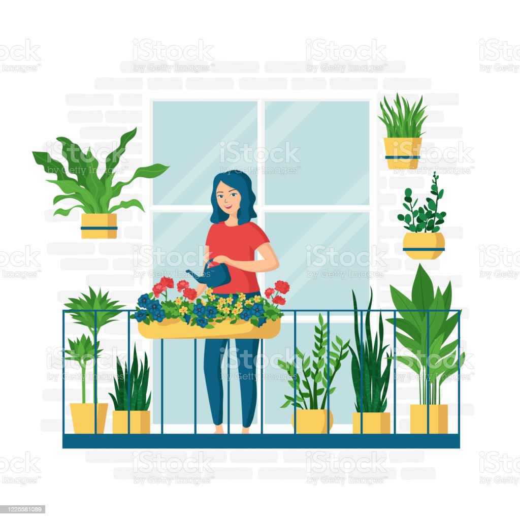 gardening ideas for home