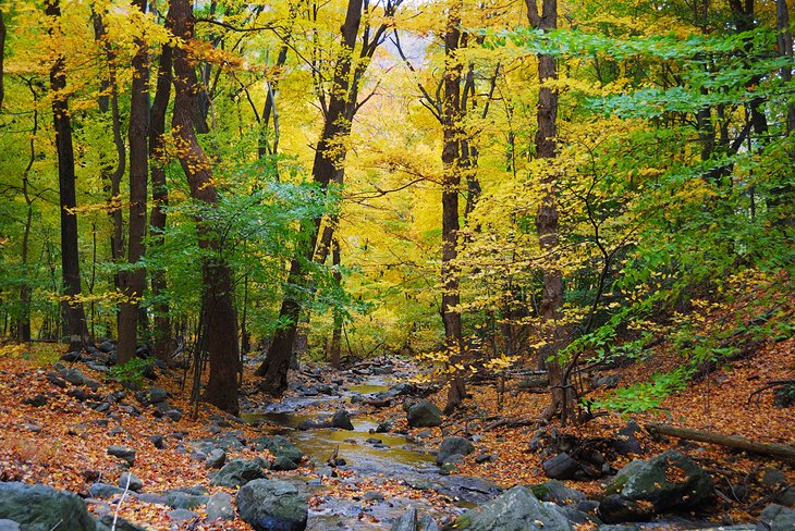 Hiking on the Great Smoky Mountains National Park Trails
