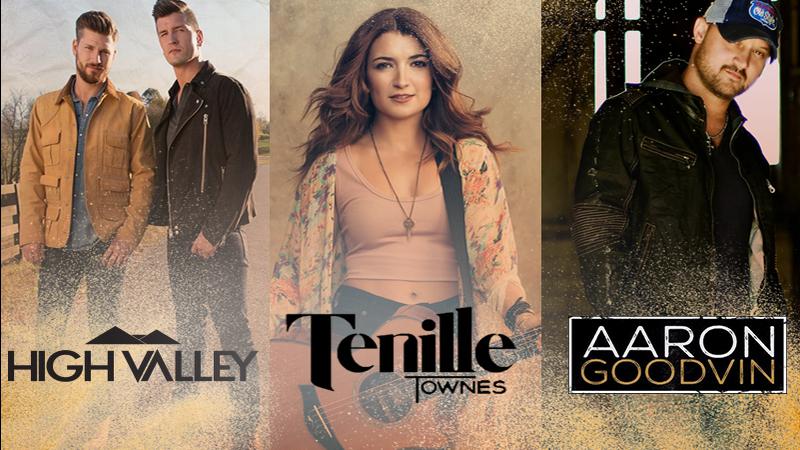 Top 12 Country Musicians to Watch for 2020

