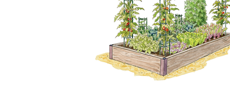 soil mix for organic vegetable gardening