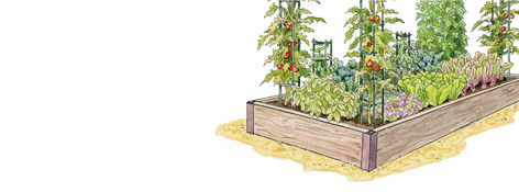 indoor herb gardening 101