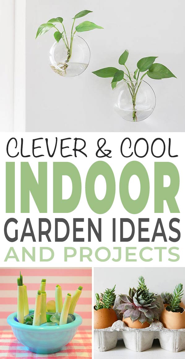 What is Indoor Gardening?
