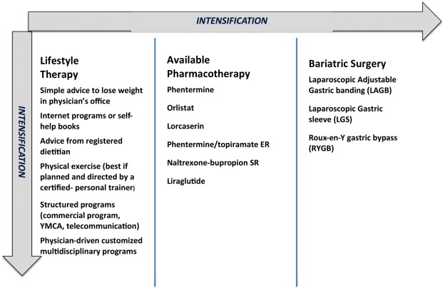 Exercise and Weight Management: What is the Connection?
