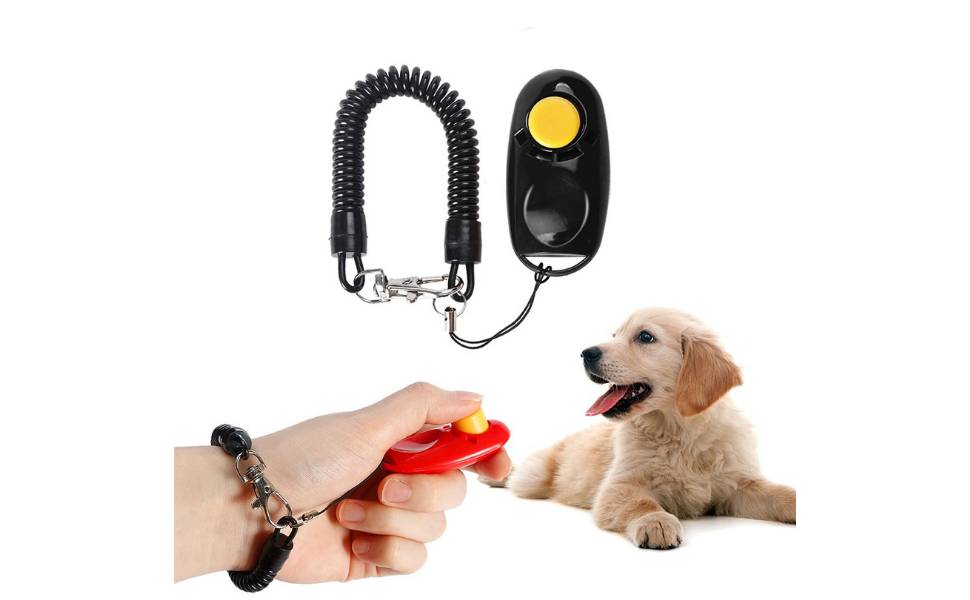 download pet rescue
