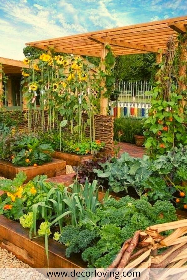 Growing Vegetables, Flowers and Other Plants Together

