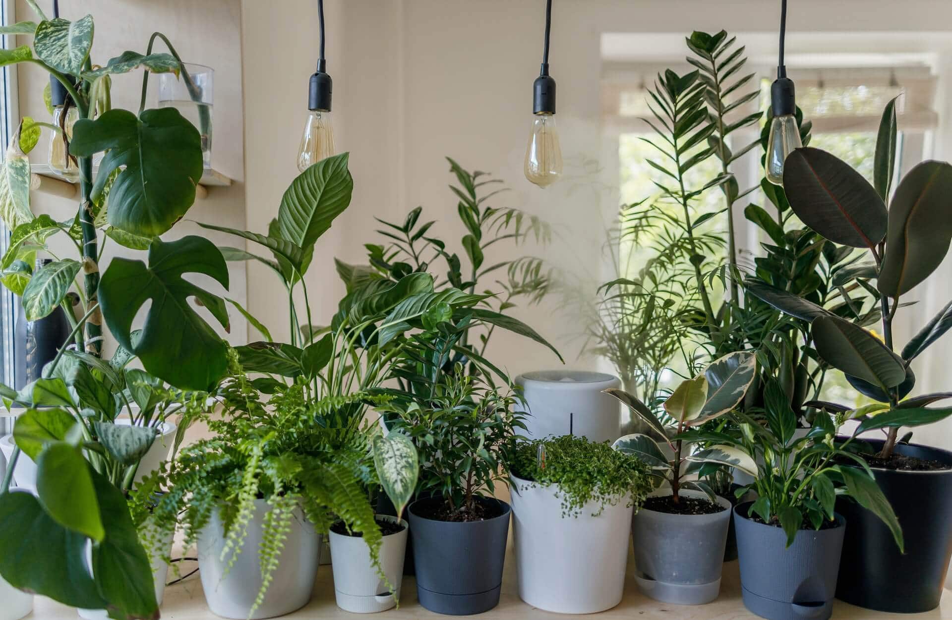 Attractive Greenhouse Featuring Seating Area
