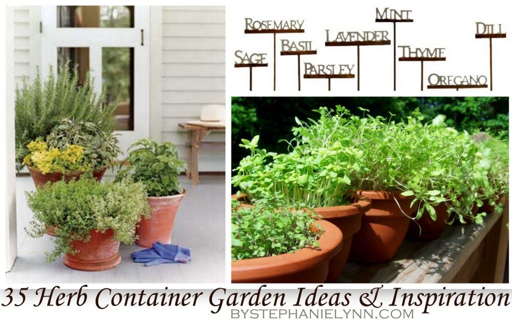 herb gardening in containers