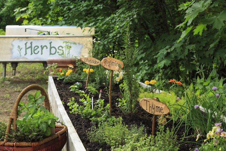 Connecticut Gardening – Knowing Your Planting Areas
