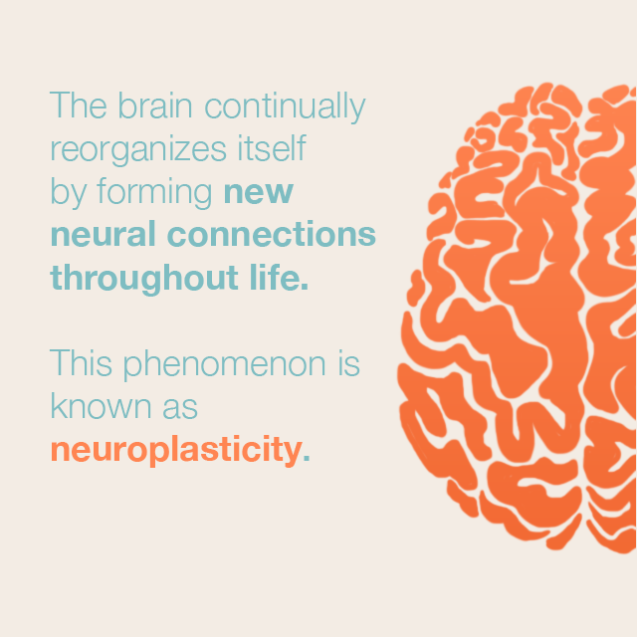 healthy living tips for mental health