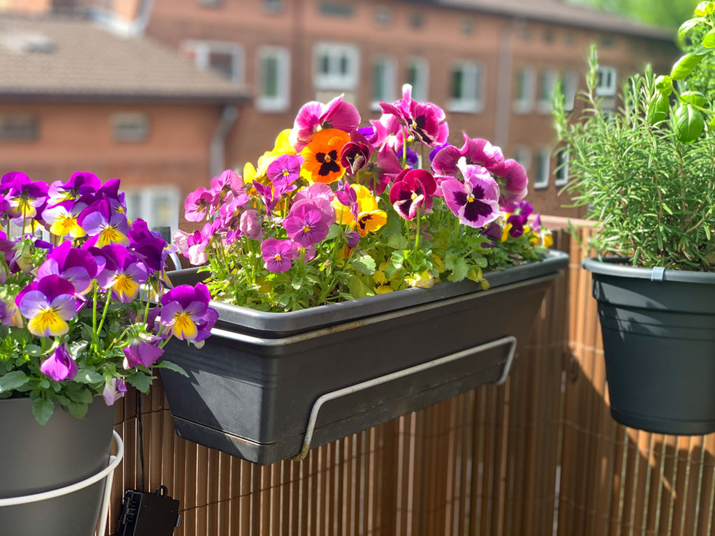 How to Indoor Vegetable Garden
