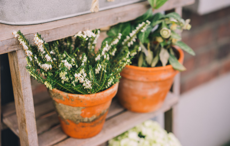 container herb gardening