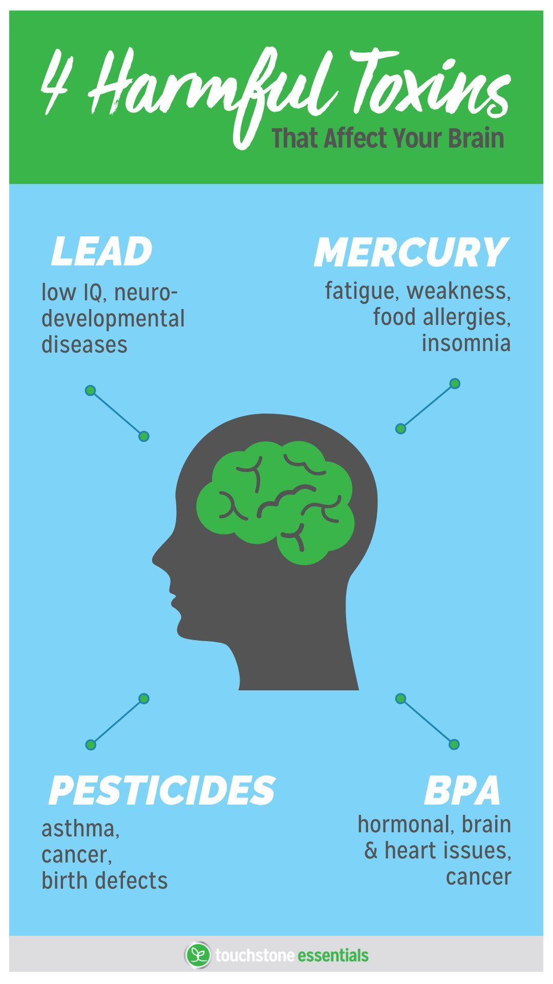 MyPlate Explained
